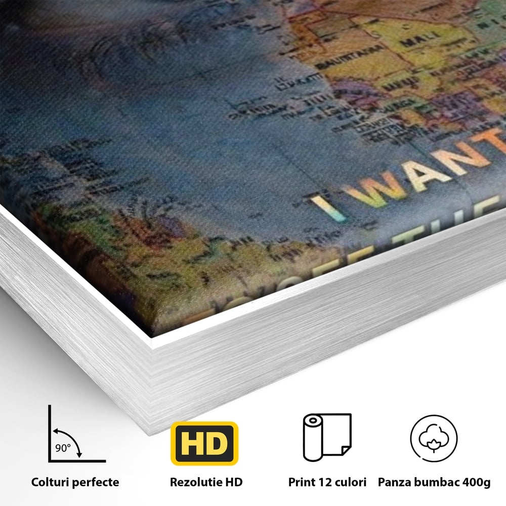 Detaliu al suprafetei: tablou canvas cu ochi uman suprapus pe harta lumii, in rama de aluminiu argintiu